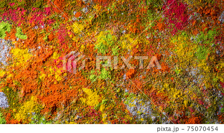 Holi festival celebration. Traditional Indian Holi colours powder decoration on black background for Holi festival. Holi festival celebration. Traditional Indian Holi colours powder decoration on black background for Holi festival. 75070454