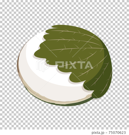 Kashiwamochi Kashiwamochi May Children's Day Illustration material 75070623