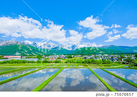 新緑の白馬村 新緑の白馬村 75070657
