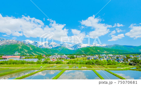 新緑の白馬村 新緑の白馬村 75070681