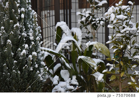 初雪の風景 初雪の風景 75070688