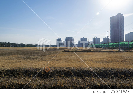 都市の空き地 逆光 都市の空き地 逆光 75071923