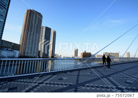 東京都 東雲の高層タワーマンション群 東京都 東雲の高層タワーマンション群 75072067