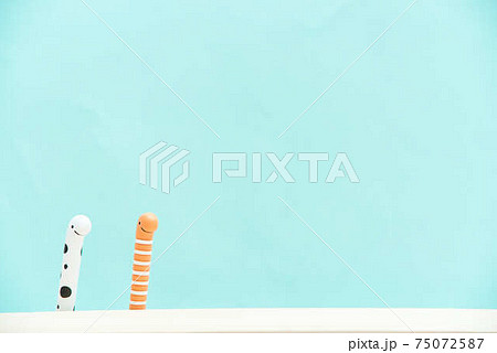 チンアナゴ 75072587