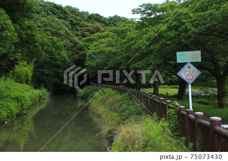 見沼代用水東縁(さいたま市緑区南部領辻:景観保全地区) 見沼代用水東縁(さいたま市緑区南部領辻:景観保全地区) 75073430