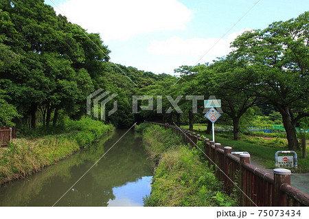 見沼代用水東縁（さいたま市緑区南部領辻：景観保全地区） 75073434