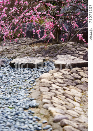 名園・銭司聖天・初春の枯山水庭園11 75075137