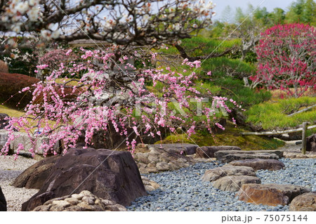 名園・銭司聖天・初春の枯山水庭園22 75075144