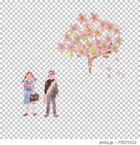 学生服の男女と桜の木の水彩イラスト 75075322