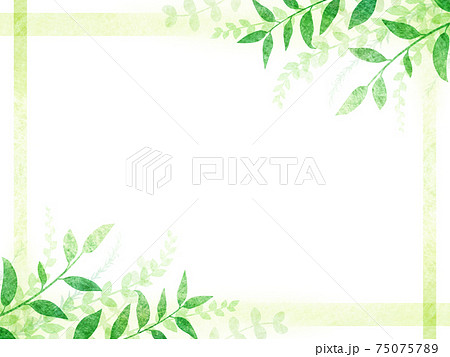 葉の背景のイラスト素材