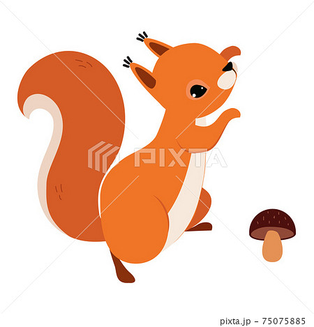 Red Fluffy Squirrel with Bushy Tail Jumping Near Mushroom Vector Illustration Red Fluffy Squirrel with Bushy Tail Jumping Near Mushroom Vector Illustration 75075885