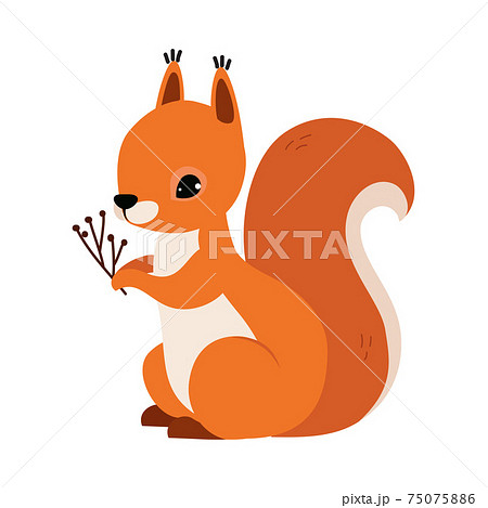 Red Fluffy Squirrel with Bushy Tail Holding Tree Branch Vector Illustration Red Fluffy Squirrel with Bushy Tail Holding Tree Branch Vector Illustration 75075886