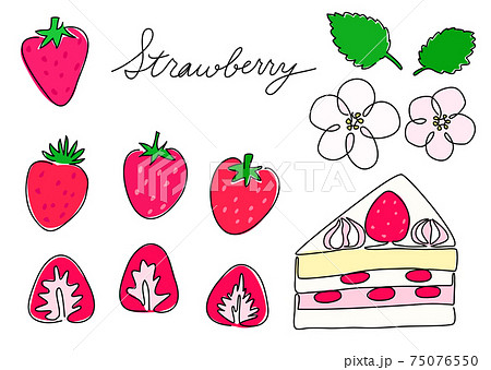 一筆書き いちご カラー イチゴの花 苺のショートケーキのイラスト素材