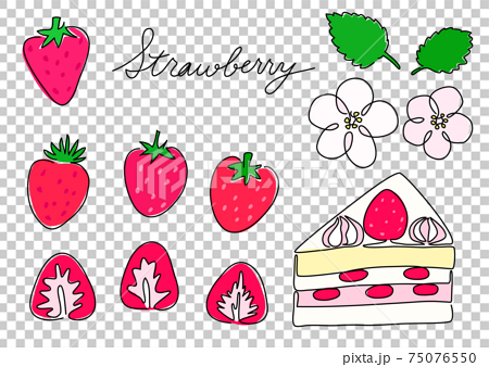 一筆書き いちご カラー イチゴの花 苺のショートケーキのイラスト素材