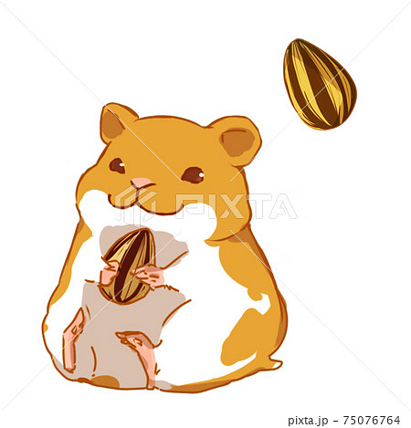 Sunflower Seeds And Hamsters Stock Illustration