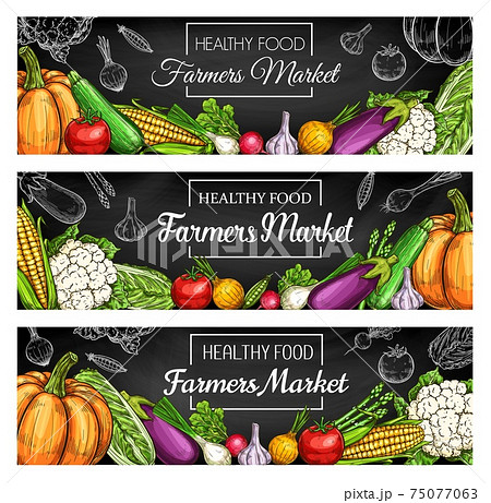 Fresh farm vegetable banners with veggie sketches 75077063