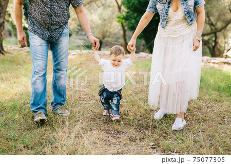Happy family - mom and dad hold little son by the arms in the olive grove, close-up Happy family - mom and dad hold little son by the arms in the olive grove, close-up 75077305