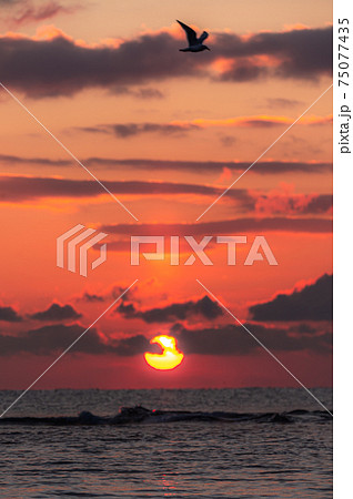 登別　アヨロ海岸の夜明け 75077435