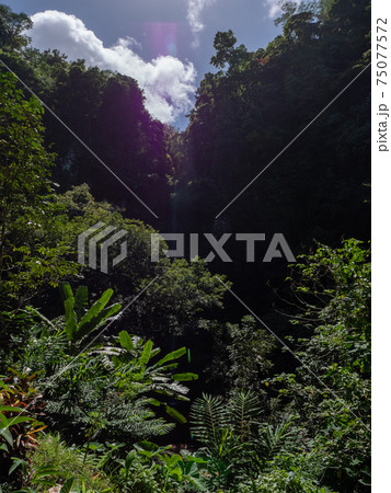 カミギン島 フィリピン カミギン 観光 旅行 景色 絶景 自然 ツアー 休暇 75077572