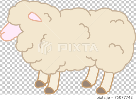 シンプルな羊のイラスト シンプルな羊のイラスト 75077748