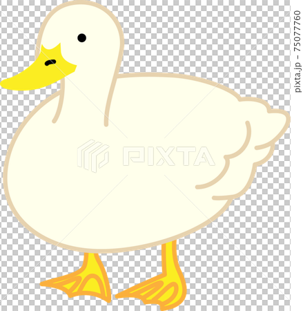 一個簡單的鴨子的插圖 一個簡單的鴨子的插圖 75077760