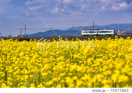 京福電車 75077863