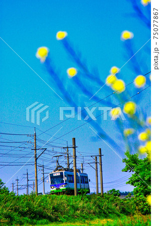 京福電車 75077867