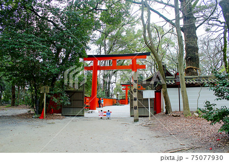 【京都】日本第一美麗神の河合神社 赤い鳥居 【京都】日本第一美麗神の河合神社 赤い鳥居 75077930
