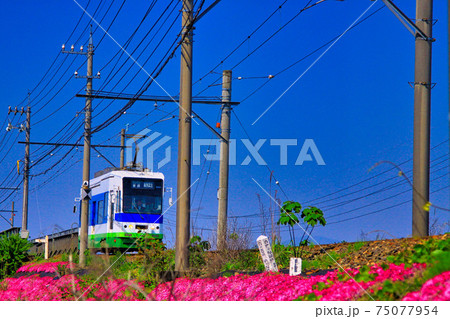 京福電車 京福電車 75077954