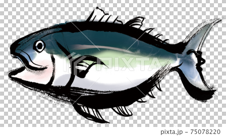 Tuna 1 - Stock Illustration [75078220] - PIXTA