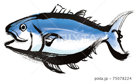 まぐろ3のイラスト素材