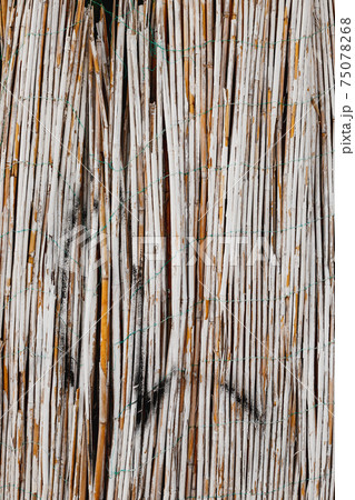 Vertical wall texture of white painted bamboo. Vertical wall texture of white painted bamboo. 75078268