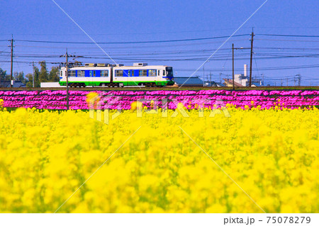 京福電車 京福電車 75078279