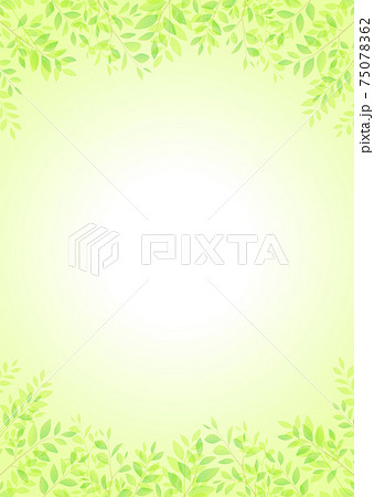 背景素材_木の葉 新緑 若葉 青葉 背景素材_木の葉 新緑 若葉 青葉 75078362