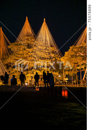 冬景色の兼六園ライトアップ 冬景色の兼六園ライトアップ 75078886