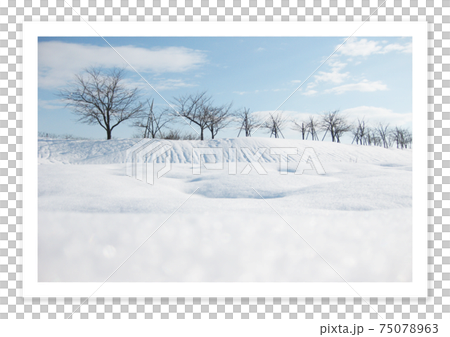 フィルム写真 雪景色 フィルム写真 雪景色 75078963