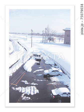 フィルム写真 雪景色 フィルム写真 雪景色 75079038