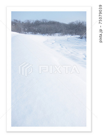 フィルム写真　雪景色 75079039