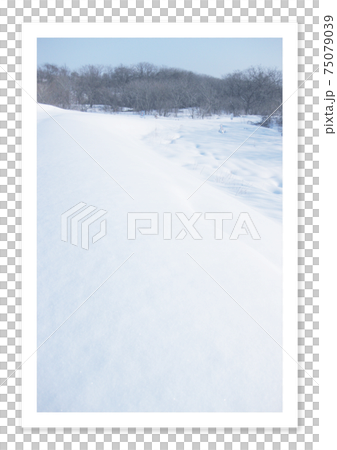 フィルム写真　雪景色 75079039