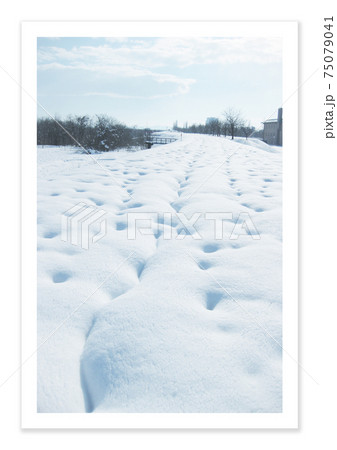 フィルム写真 雪景色 フィルム写真 雪景色 75079041