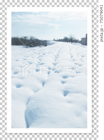 フィルム写真 雪景色 フィルム写真 雪景色 75079041