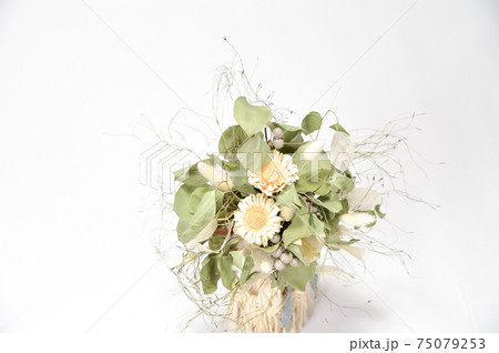 白花を使用したプリザーブドフラワー 白花を使用したプリザーブドフラワー 75079253