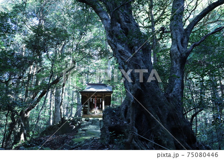 筑波山麓、白滝神社 筑波山麓、白滝神社 75080446