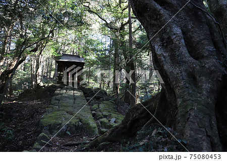 筑波山麓、白滝神社 75080453