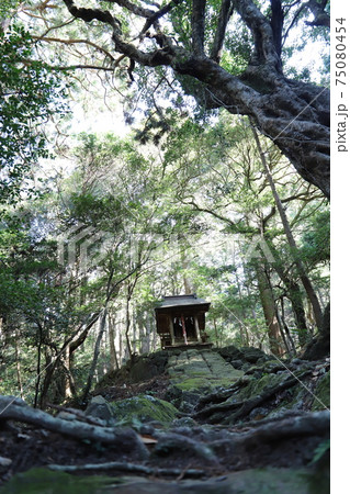 筑波山麓、白滝神社 筑波山麓、白滝神社 75080454