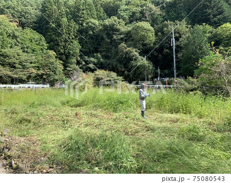 農業を始めるための整地 75080543