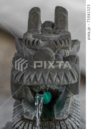 乙津寺 乙津寺 75081323