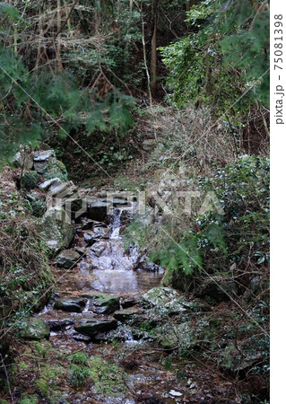 おとどい山リフレッシュロードのふもと 75081398