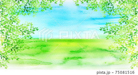 新緑 葉 春 背景 新緑 葉 春 背景 75081516