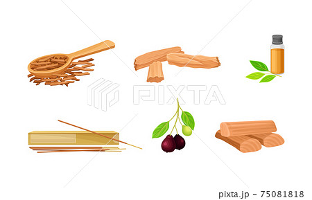 Sandalwood Timber and Wood Material with Fragrant Chip and Sticks Vector Set 75081818